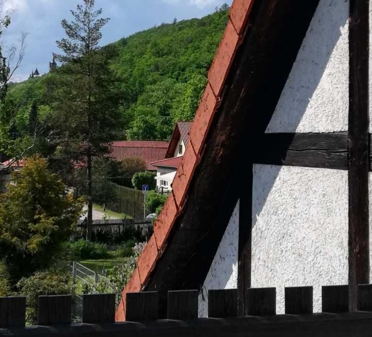 Ferienwohnung Natur Pur Muehlental فيرنغروده المظهر الخارجي الصورة