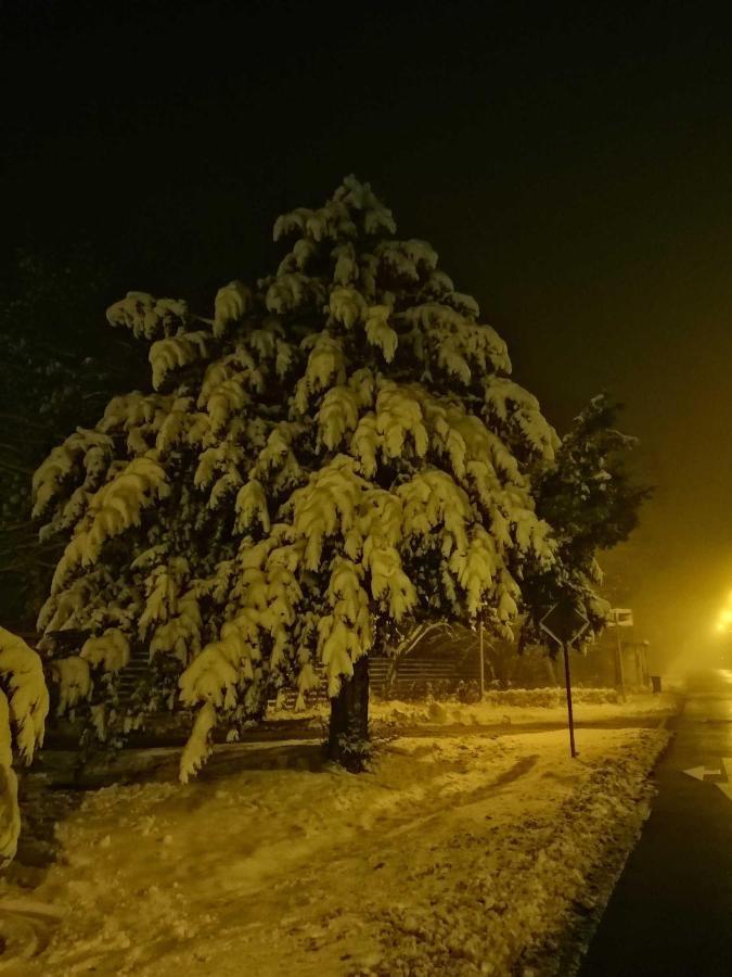Ferienwohnung Natur Pur Muehlental فيرنغروده المظهر الخارجي الصورة